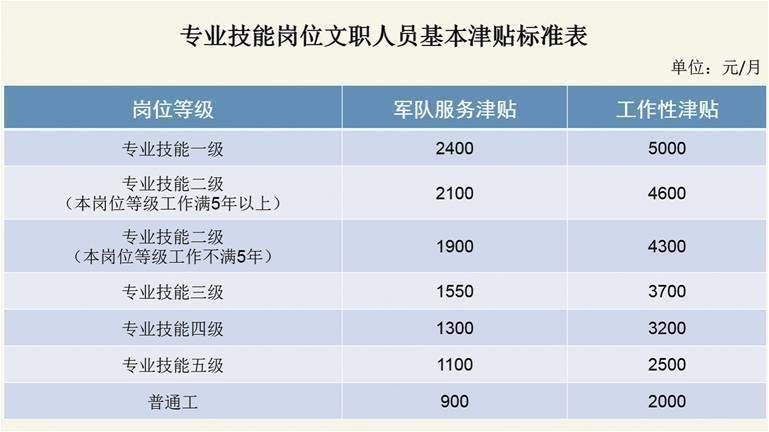 澳门一码一码100精准,详细解答、解释与落实