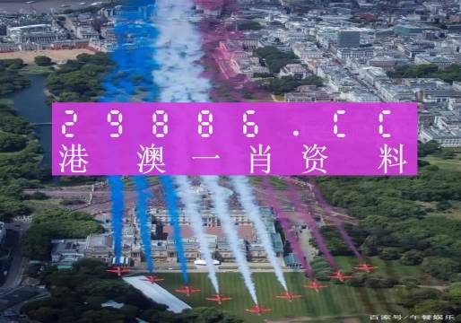 澳门一肖一特一码一中,详细解答、解释与落实