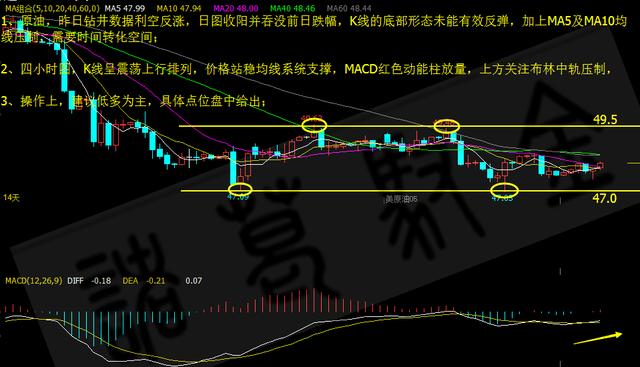 2025澳门特马今晚开奖图,详细解答、解释与落实